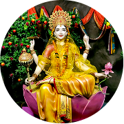 Become a Seva Partner