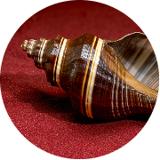 Ritual or Puja Guidance