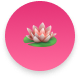 The Lotus